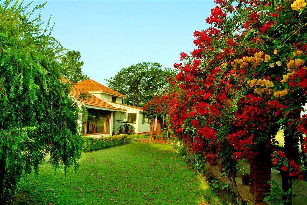 Готель Naturoville Ayurvedic And Yoga Retreat Рішикеш Екстер'єр фото