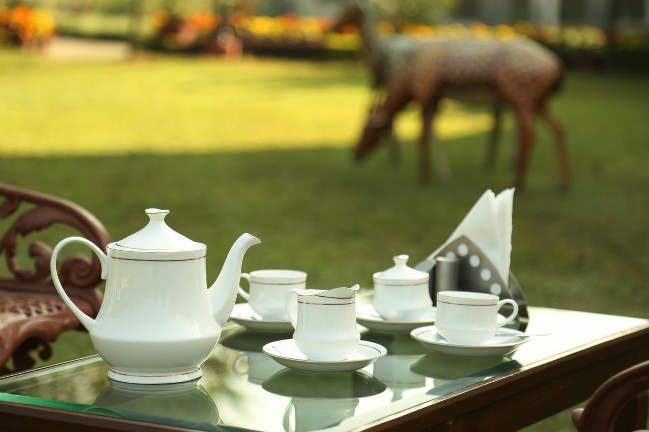 Готель Naturoville Ayurvedic And Yoga Retreat Рішикеш Екстер'єр фото